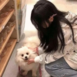 萌兽大冒险游戏